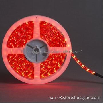 5050 strip light  with CE&Rohs